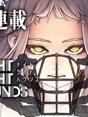 标本 018：夜间视野与灯光节奏示意